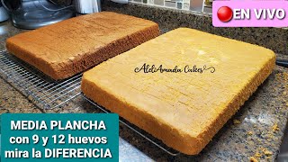 como hacer pan esponja Media Plancha para tres leches  mejor absorción [upl. by Elocin]