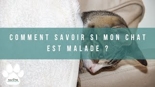 COMMENT SAVOIR SI MON CHAT EST MALADE [upl. by Leahcimnhoj907]