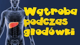 Wątroba a głodówka jak to jest [upl. by Holsworth]