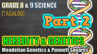 Genetics amp Heredity  Punnett Squares  Gr 8 amp 9 Part 2  Tagalog [upl. by Ziguard]