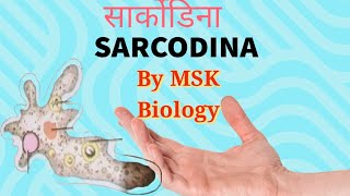 SARCODINA By MSK Biology [upl. by Annohsed496]