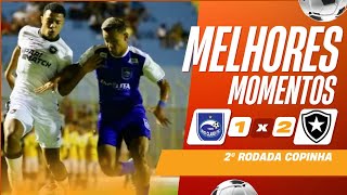 MELHORES MOMENTOS RIO CLARO X BOTAFOGO  2ª RODADA COPINHA 2024 [upl. by Wehner388]