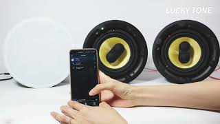 LUCKY TONE CP650WIFI BT CEILING SPEAKER [upl. by Atsyrt979]