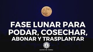 🌖 Como Usar Fases Lunares Para Podar Cosechar Abonar Injertar y plantar 🌙 [upl. by Florencia904]