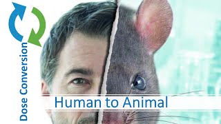 G T3 How to Calculate Human Equivalent Animal Dose in Preclinical studies GenTox Module 3 [upl. by Clovah753]