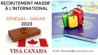 Immigrer au Canada en 2023 Recrutement international du Gouvernement du NouveauBrunswick🇨🇦🚀 [upl. by Ezalb]