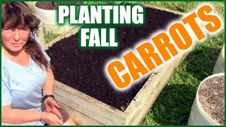 Growing Carrots In Raised Beds And Containers  Planting Fall Carrots [upl. by Waddle]