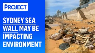 Sydney Sea Wall Impacting Environment [upl. by Aenet]