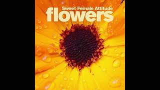 Sweet Female Attitude  Flowers Sunship Remix HQ Acapella amp Instrumental [upl. by Eneroc]