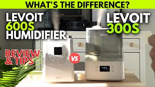 LEVOIT 300S vs LV600S Humidifier Long Term Review amp Comparison [upl. by Aniroc942]