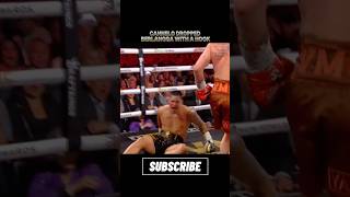 Canelo dropped Berlangga canelo berlanga boxing [upl. by Sissel288]