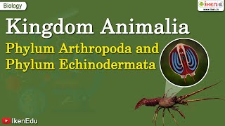 Kingdom Animalia Phylum Arthropoda and Phylum Echinodermata  iKen  iKen App  iKen Edu [upl. by Halda]