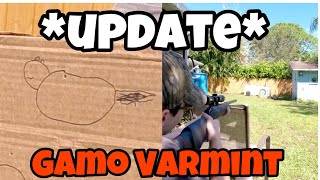 Gamo Varmint Air Rifle UPDATE [upl. by Enrico294]