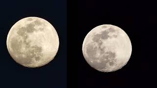 FZ1000ii vs FZ300 Full Moon do megapixels are sensor size make a Difference in shooting 4K video [upl. by Shornick]