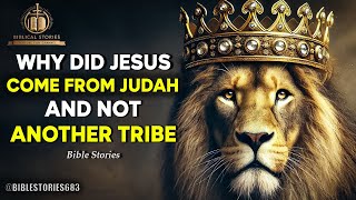 The Hidden Story  Why Jesus Descended from the Tribe of Judah  Bible Stories [upl. by Giliane930]