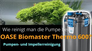 Oase Biomaster Thermo  Wie reinige ich die Pumpe bzw den Impeller [upl. by Ardnuaek]