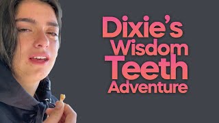 Dixie DAmelios Wisdom Teeth Adventure [upl. by Weiler]