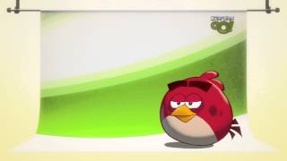 troll angry birds aura reels [upl. by Chema]