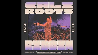 Collie Buddz  Cali Roots Riddim 2023 Full Album [upl. by Cigam925]