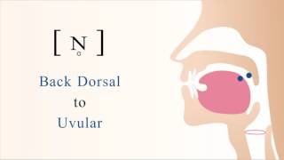 ɴ̥  unvoiced back dorsal uvular nasal stop [upl. by Janella]