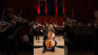 Haydn’s virtuosic cello concerto ❤️ classicalmusic [upl. by Libbie]