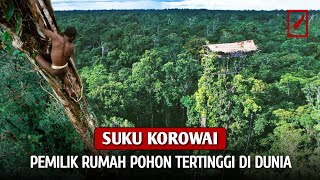 Suku Kanibal Indonesia⁉ Mengenal Lebih Dekat Suku Korowai di Pedalaman Papua  Rumah Pohon Tertinggi [upl. by Icyak172]