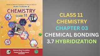 37 Hybridization Chemical Bonding Chapter 3 Chemistry Class 11 FBISE New Syllabus 2024 NBF [upl. by Darcey995]