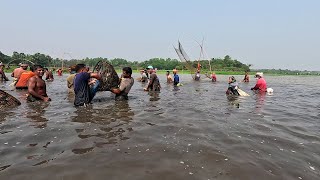 Fishing Video  Amazing Rural Fishing Video 🐟 Best Asian Fishing Technique 🐟 shorts india [upl. by Adohr]