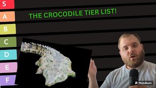 I made a Crocodile Tier List [upl. by Jak553]