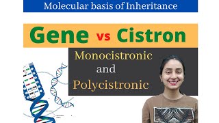 Gene vs Cistron  Molecular Basis of Inheritance  Class 12  NEET [upl. by Nortyad]