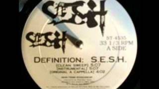 SESH  DEFINITION SESH  rare 1996 NY rap [upl. by Salaidh122]