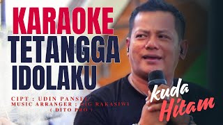 TETANGGA IDOLAKU KARAOKE  UDIN PANSEL LAGU TERBARU [upl. by Nisse233]