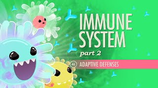 Immune System Part 2 Crash Course Anatomy amp Physiology 46 [upl. by Horace999]