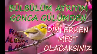 En Güzel İlahiler Ve Karışık İlahiler 2020 En Sevilen Bülbül İlahileri Full Album İlahi Dinle [upl. by Ileyan267]