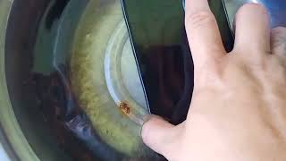 OUKITEL WP17 WATERPROOF PHONE UNDER 15K 30 MINUTES SUBMERGED UNDER WATER TEST WHAT HAPPENED [upl. by Able]