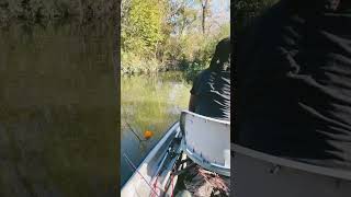 Creek Fishing with CrappieBoiLonghairfishing texasfishing fishing creekfishing [upl. by Segalman]