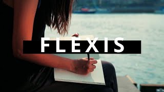 Introducing Paperblanks Softcover Flexis [upl. by Martyn281]