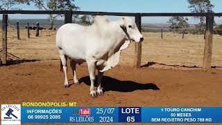 LOTE 65  1 TOURO CANCHIM 50 MESES 788KG [upl. by Truitt]