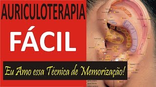 A Melhor Maneira para Decorar os Pontos da Auriculoterapia Acupuntura Auricular [upl. by Esyak613]