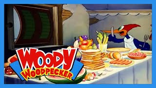 Woody Woodpecker  Pantry Panic Classic Cartoon [upl. by Ittap189]