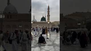 Mustafa janemadina subscribe like foryou islam islamicquotes fyp youtubeshorts [upl. by Gauntlett]