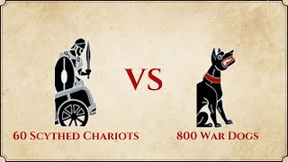 ROME II Total War  60 Scythed Chariots VS 800 War Dogs [upl. by Vary193]