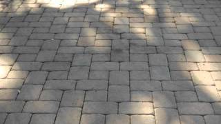 Sealing Pavers  Before and After [upl. by Aeslahc207]