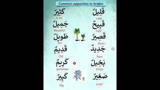 Common opposites in Arabic Language تعليم learnarabiclanguage learnarabic [upl. by Schuler632]