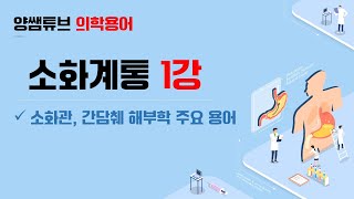 의학용어소화계통 1교시해부용어 [upl. by Denise]