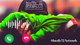 Syed Raza Abbas Noha Ringtone  Mere Baba Ka Mujhe Shia Noha Ringtone Syedshazibhussain [upl. by Nishi544]