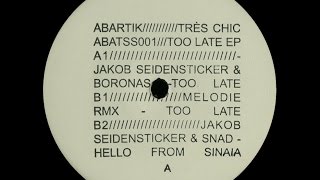 Jakob Seidensticker amp Boronas  Too Late Melodie Remix [upl. by Leta]