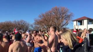 2017 Toronto Polar Bear Dip [upl. by Lorn735]