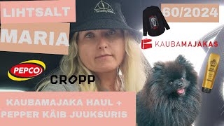 VLOG 60  KAUBAMAJAKA HAUL  PEPPER KÄIB JUUKSURIS  LIHTSALT MARIA [upl. by Norha561]