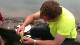 Eating fresh oysters in France [upl. by Fulvi]